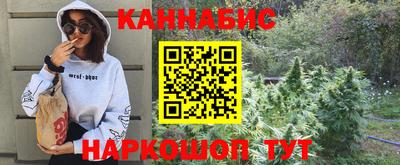 стаф Будённовск