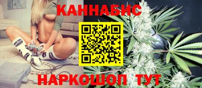 стаф Будённовск