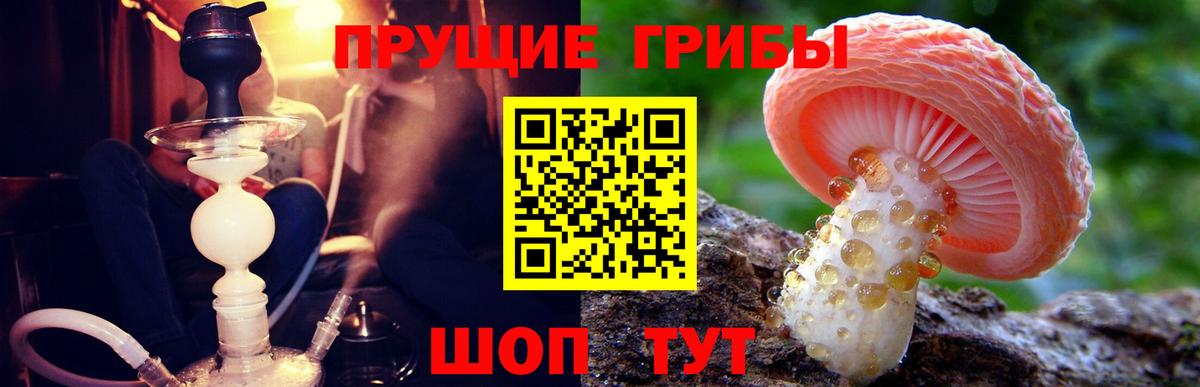 Коркино  Галлюциногенные грибы Magic Shrooms  Вход с VPN 